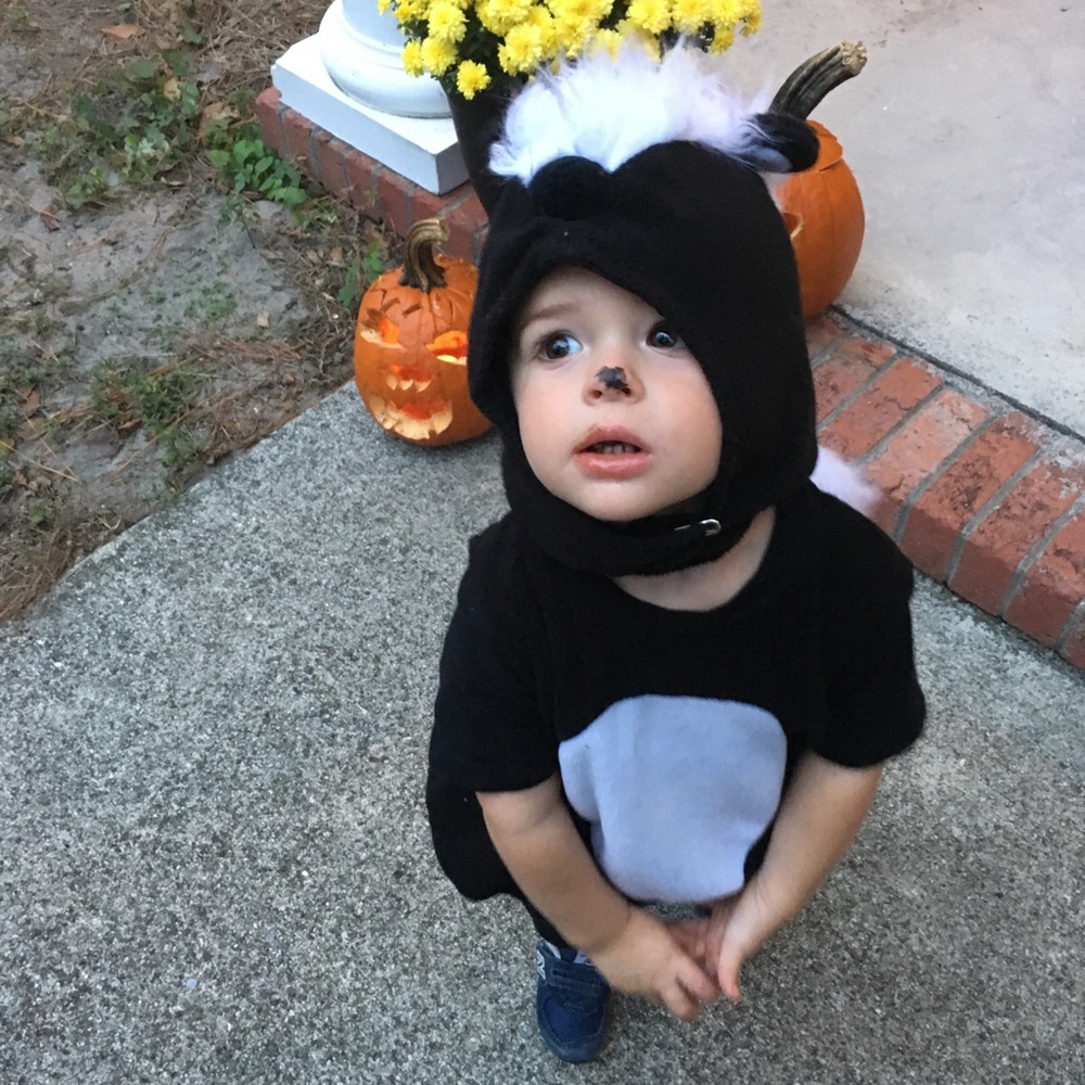 Pottery barn 12-24 mo skunk costume